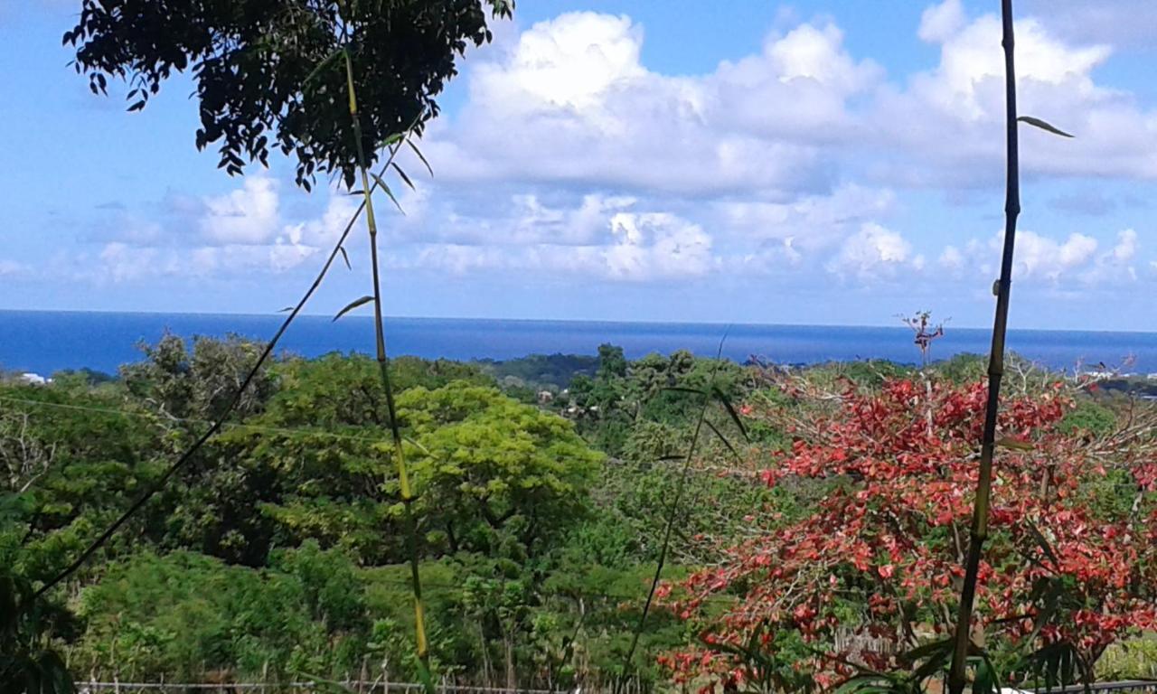 B&B El Mirador Al Mar Sosúa 외부 사진