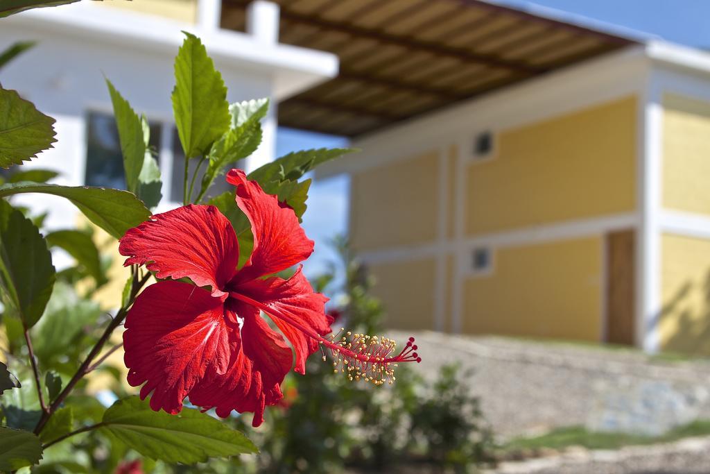 B&B El Mirador Al Mar Sosúa 외부 사진