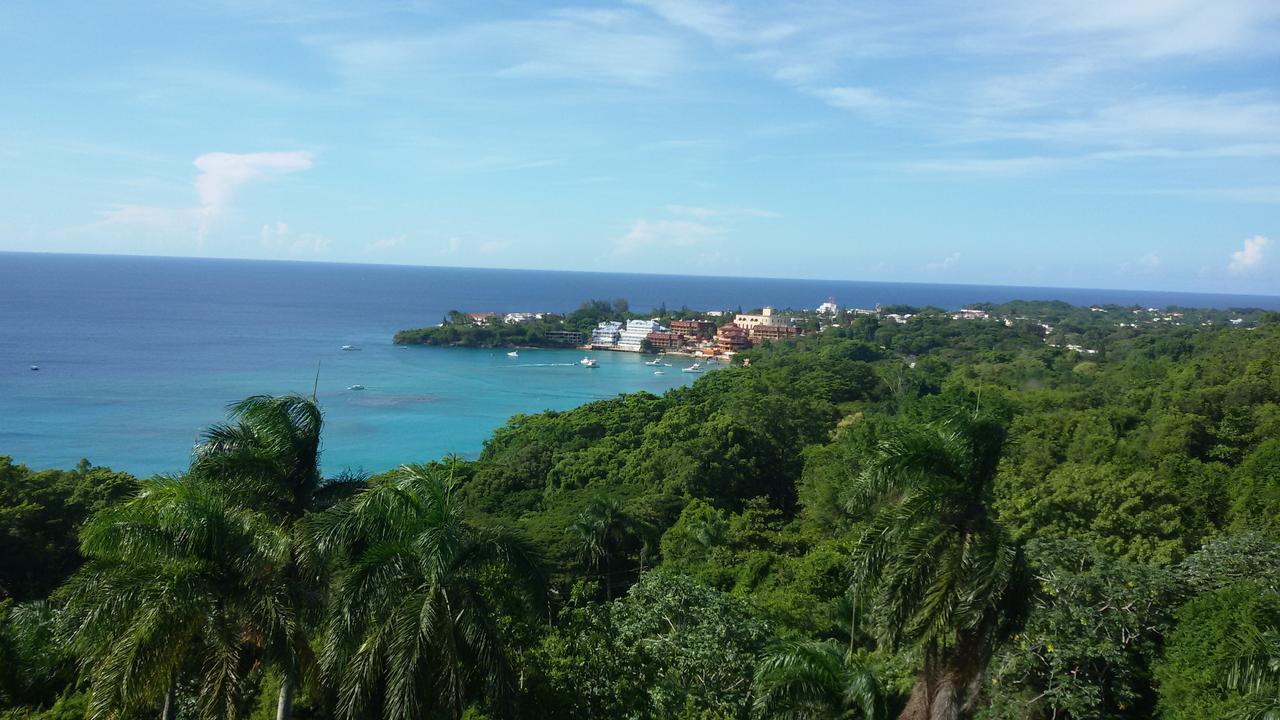 B&B El Mirador Al Mar Sosúa 외부 사진